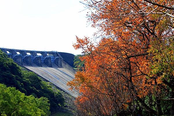 石門水庫之旅-26.jpg