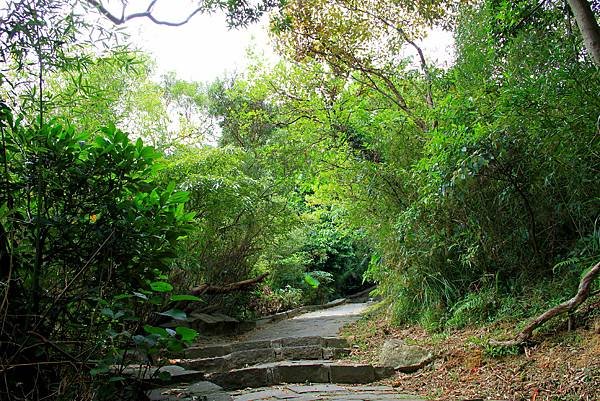 凌雲寺後山小路踏青-1-1.JPG