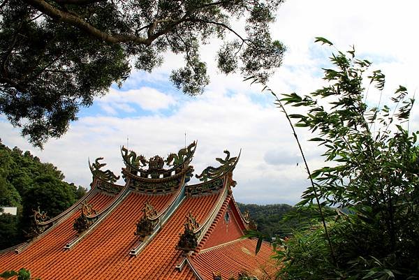 凌雲寺後山小路踏青.JPG