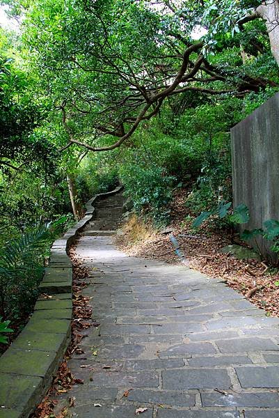 凌雲寺後山小路踏青-3.JPG