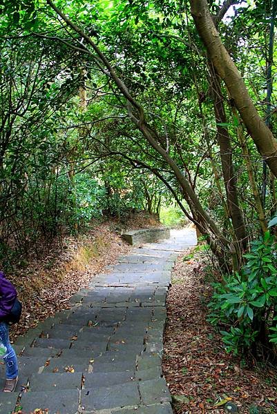 凌雲寺後山小路踏青-2.JPG