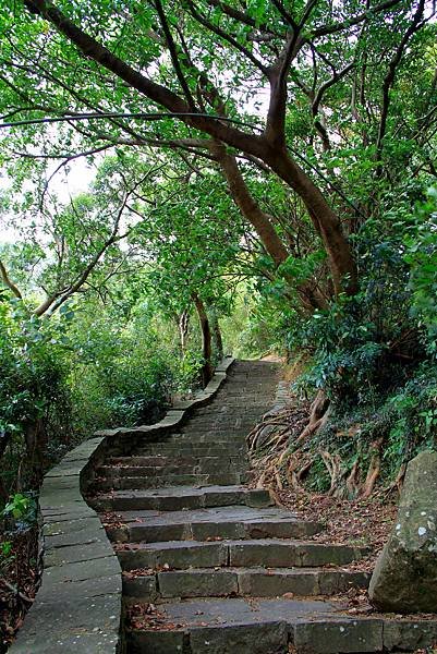 凌雲寺後山小路踏青-4.JPG