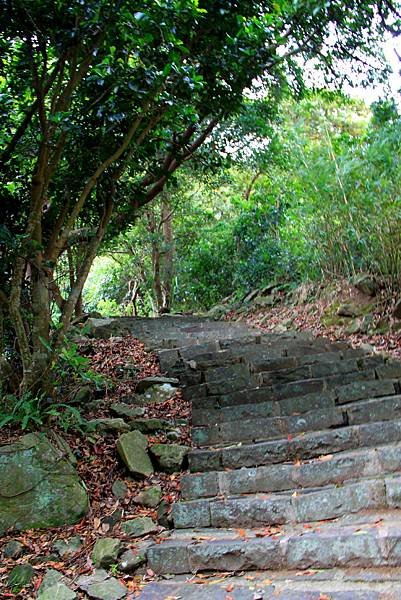 凌雲寺後山小路踏青-8.JPG