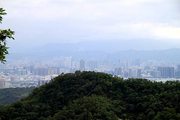 凌雲寺後山小路踏青-11.JPG