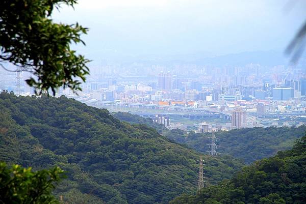 凌雲寺後山小路踏青-12.JPG