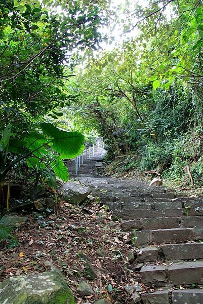 凌雲寺後山小路踏青-14.JPG