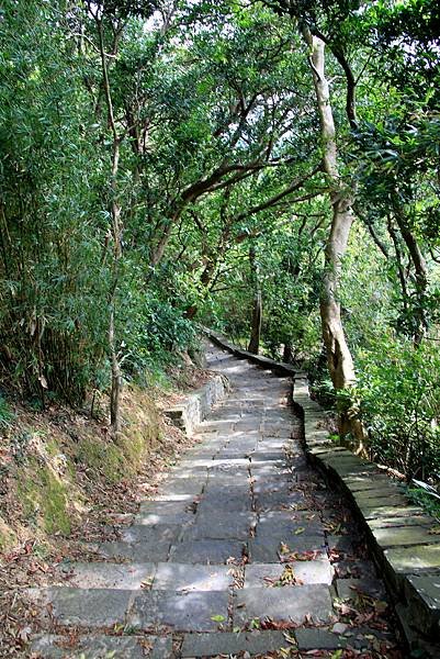 凌雲寺後山小路踏青-20.JPG