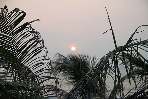 甲午年元月一日夕陽-5.JPG