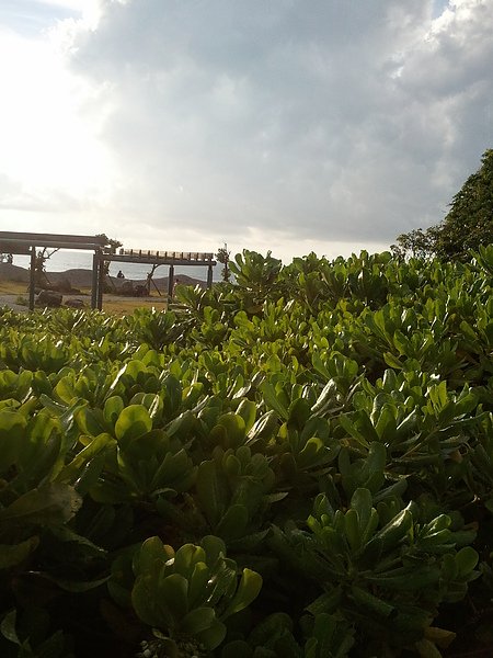 2010-08-29 17.14.08.jpg