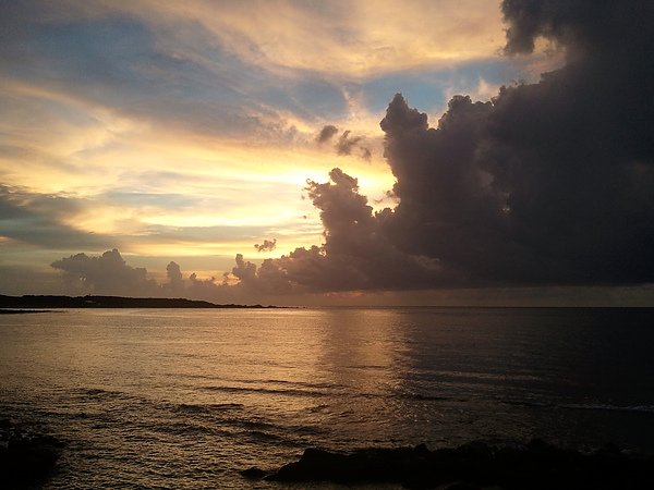 2010-08-29 18.20.57.jpg
