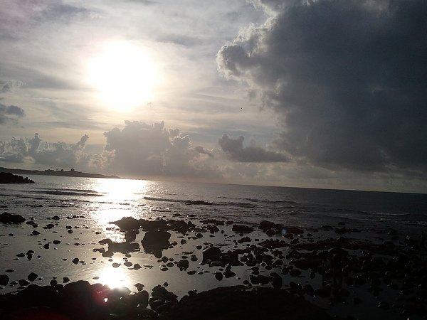 2010-08-29 17.17.53.jpg
