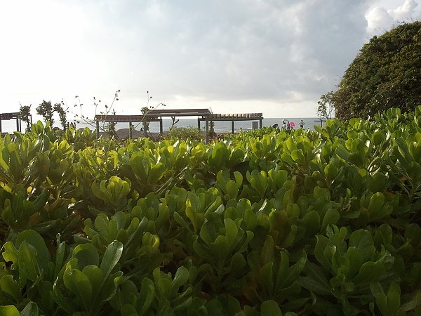 2010-08-29 17.13.57.jpg