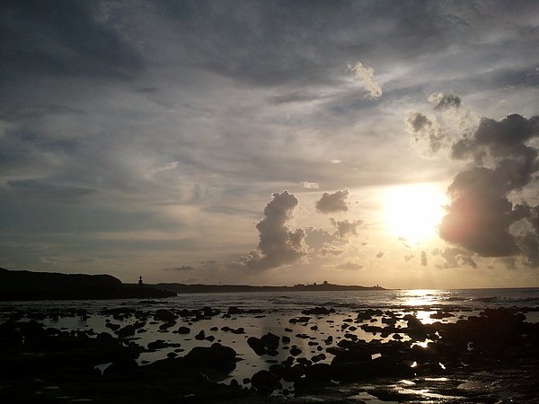 2010-08-29 17.40.18.jpg