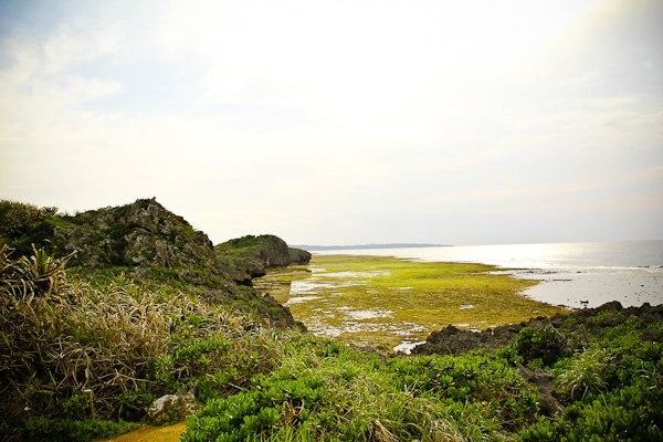 IMG_2865.jpg