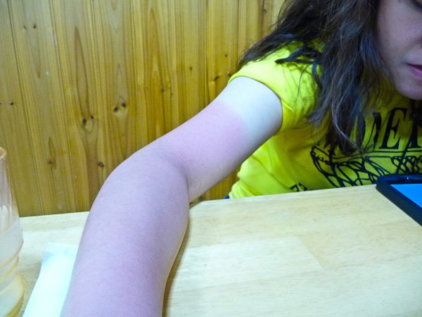 P1170507.jpg