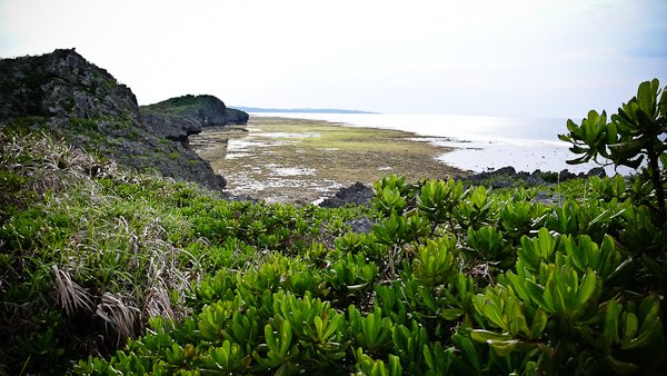 P1280891.jpg
