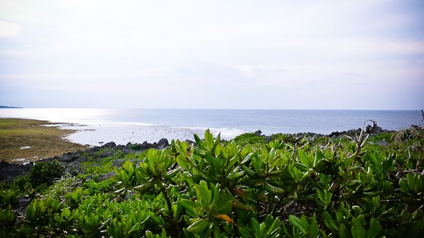 P1280892.jpg