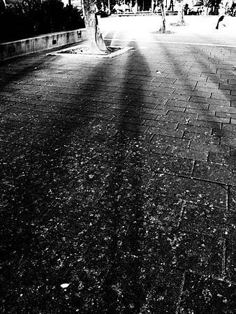 20110727.jpg