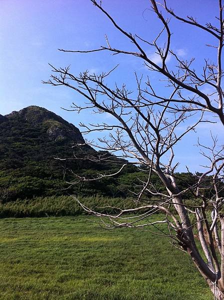 蜜月小旅行okinawa之哎鳳-fd0022.jpg