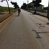蜜月小旅行okinawa之哎鳳-fd0026.jpg