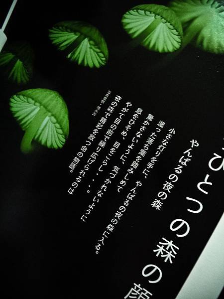 P1170895-2.jpg