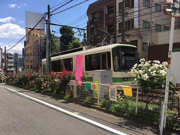 斷腿東京行_180507_0235.jpg