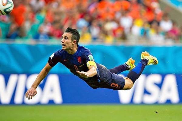 2014 世足-Robin van Persie3