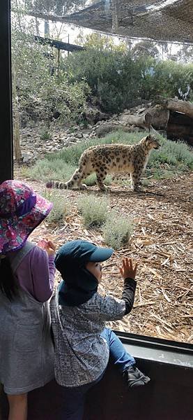 2023 Melbourne Zoo