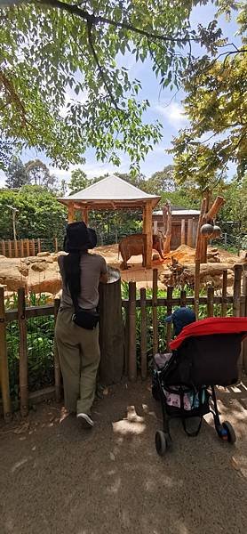 2023 Melbourne Zoo