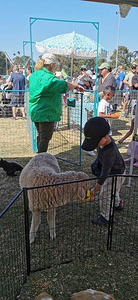 Berwick easter fair