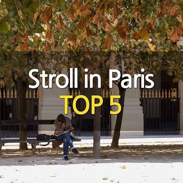 STROLL IN PARIS