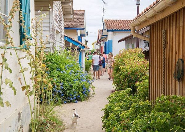 CAP FERRET15