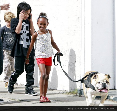 angelina-jolie-brad-pitt-jacques-bulldog-new-orleans