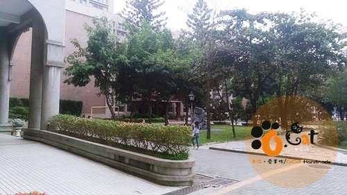 20171113-011.jpg