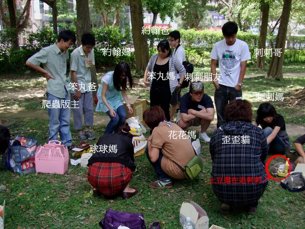 大家都很專注的再看刺蝟們