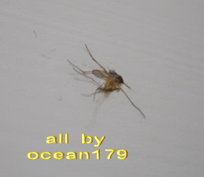 014.jpg