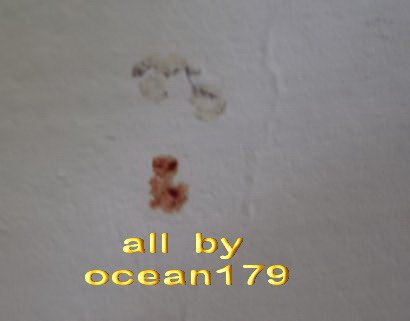 010.jpg