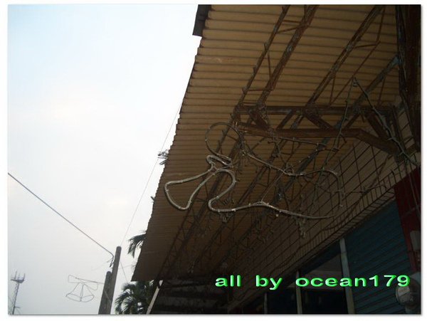 00212.jpg