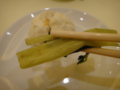 DSC04599.JPG