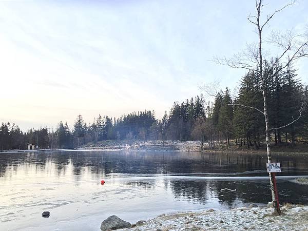 IMG_4145.JPG