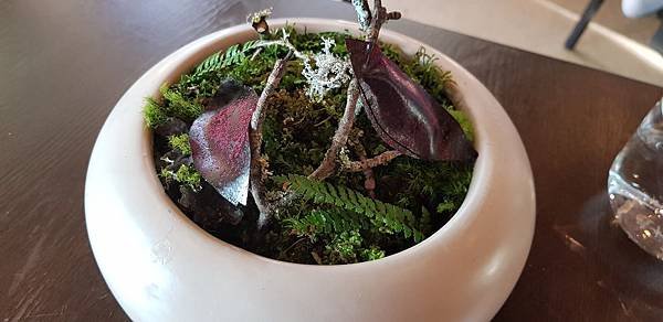 20180314_175523.jpg
