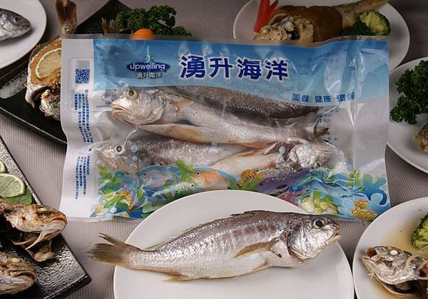 白姑魚