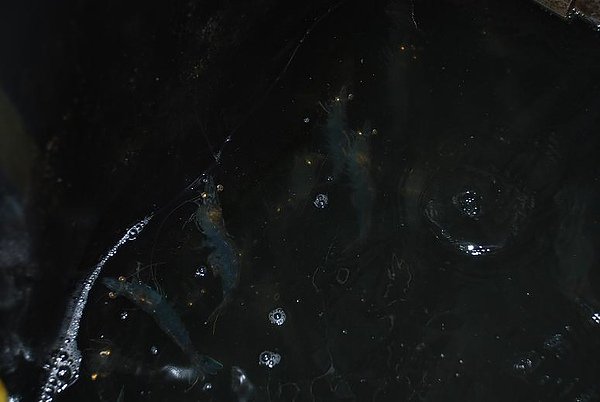 3152048795.jpg