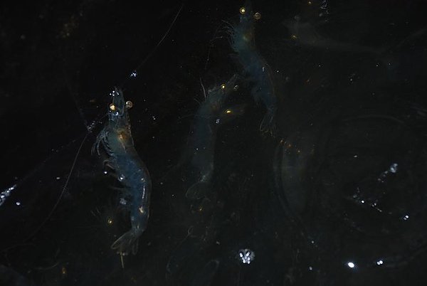 0262240684.jpg