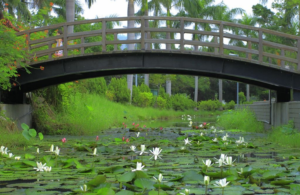 美術館 莫內橋