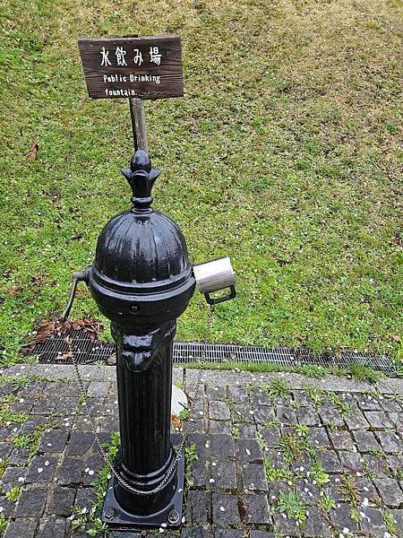 20230426_162815.jpg
