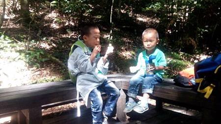 IMG_20141004_111310.jpg