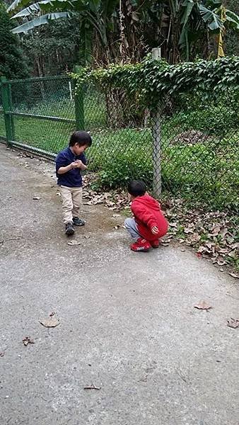 IMG_17347657478503.jpeg