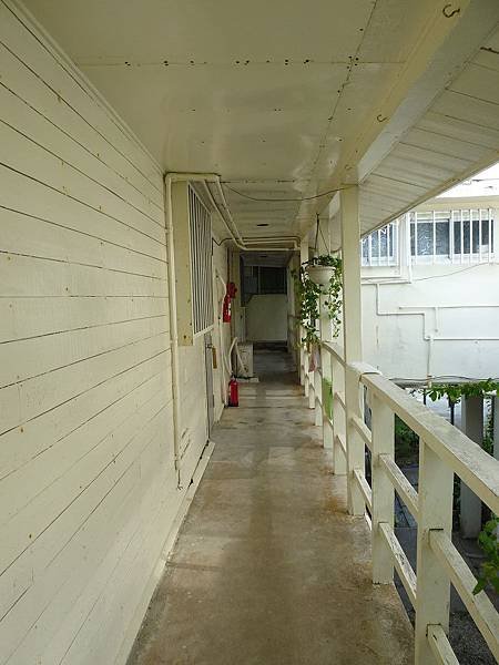 P1170958.jpg