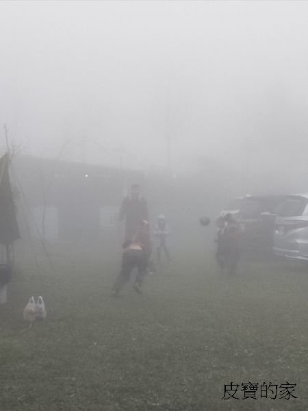 IMG20171231121137.jpg